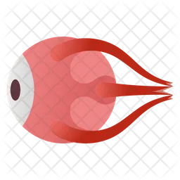 Eye Anatomy  Icon
