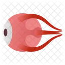 Eye Anatomy Icon