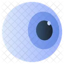 Eye Eyeball Retina Icon