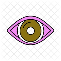 Eye  Icon