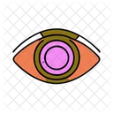 Eye  Icon