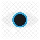 Eye  Icon