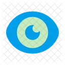 Eye  Icon