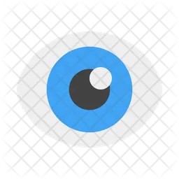 Eye  Icon