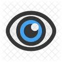 Eye  Icon