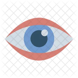 Eye  Icon