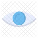 Eye  Icon