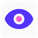 Eye  Icon
