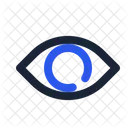 Eye  Icon