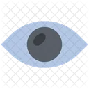 Eye  Icon