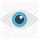 Eye  Icon