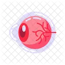 Eye Human Eye Eyeball Icon Icon