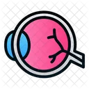 Eye Human Organ Icon