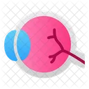 Eye Human Organ Icon