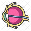 Eye Icon
