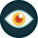 Eye  Icon