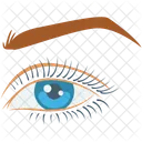 Eye  Icon