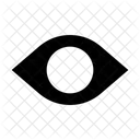 Eye  Icon