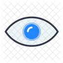 Eye  Icon