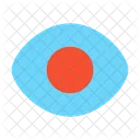 Eye  Icon