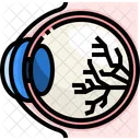 Eye Organ Body Part Icône
