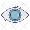Eye  Icon