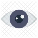Eye  Icon