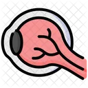 Eye Eyeball Eyesight Icône