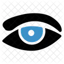 Eye  Icon