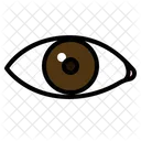 Eye  Icon