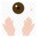 Eye  Icon