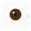 Eye  Icon