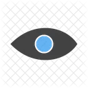 Eye  Icon