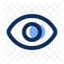 Eye  Icon