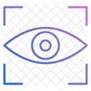 Eye  Icon