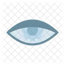 Eye  Icon
