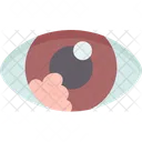 Eye  Icon