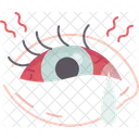 Eye  Icon