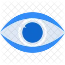 Eye  Icon