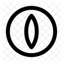 Eye  Icon