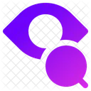 Eye  Icon
