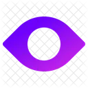 Eye  Icon