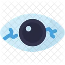 Eye  Icon
