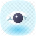 Eye  Icon