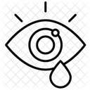 Eye  Icon