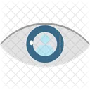 Eye  Icon