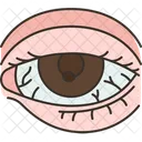 Eye Infection  Icon