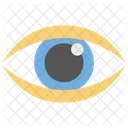 Eye Monitoring Eye Eye Scanning Icon