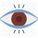 Eye Organ Body Part Eye Icon