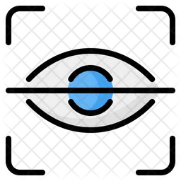 Eye Recognition  Icon